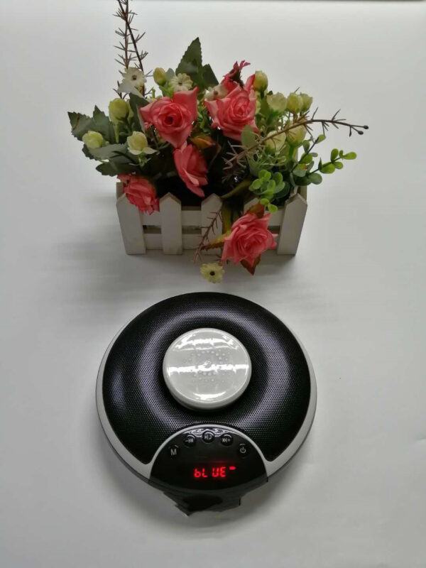 17893240339884.jpg Bluetooth Speaker with Wireless Charger