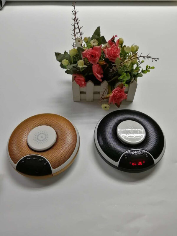 3660149358930.jpg Bluetooth Speaker with Wireless Charger